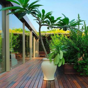 Кулер MING PLANTER AND COOLER 5