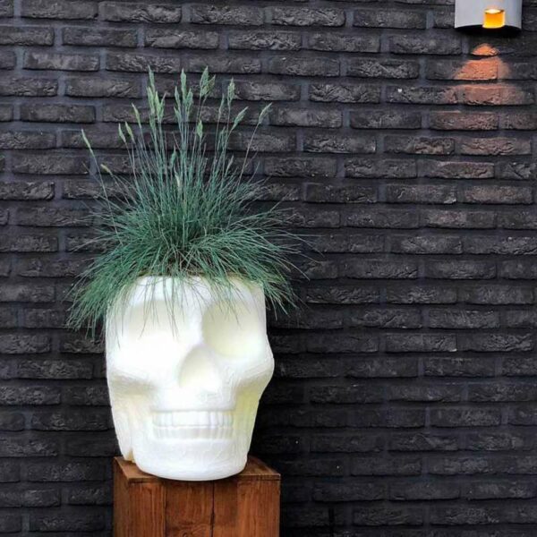 Кулер MEXICO PLANTER AND CHAMPAGNE BLACK 8
