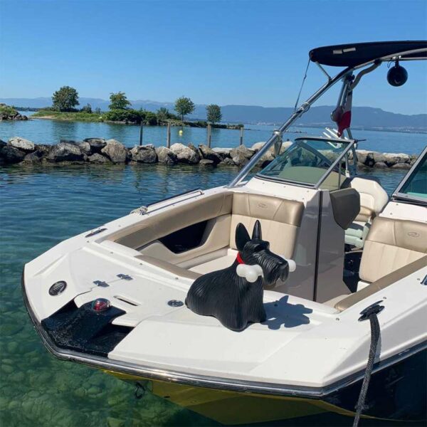 Торшер SCOTTIE 10