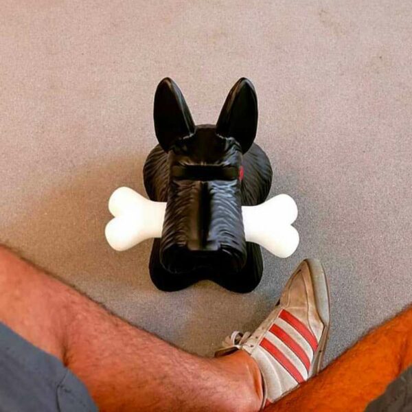 Торшер SCOTTIE 12