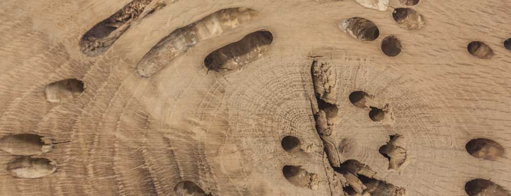 A6 - бриккола