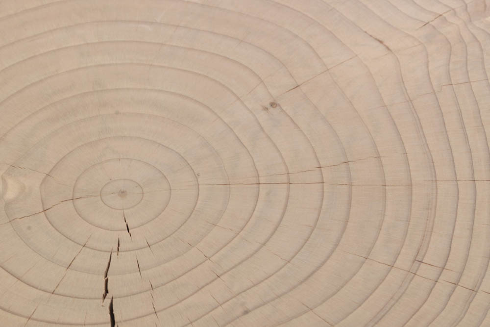 A9 - кедровая контрактная отделка