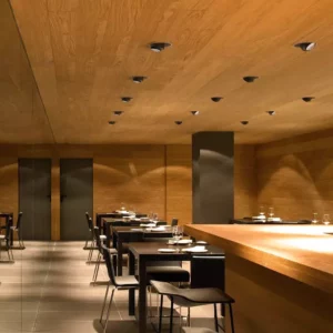 Потолочный светильник ANTHONY DOWNLIGHT 225 2