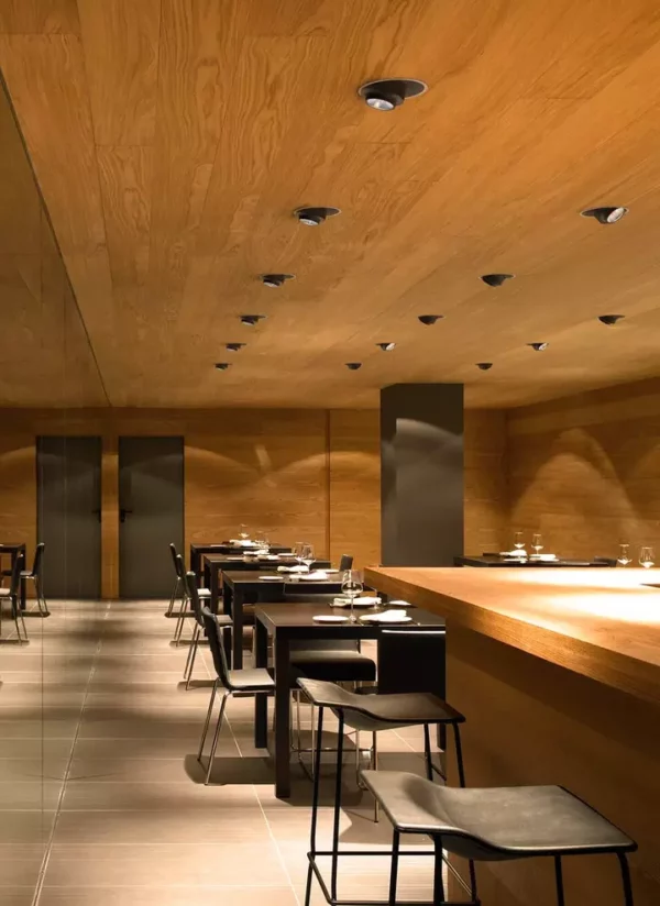 Потолочный светильник ANTHONY DOWNLIGHT 225 2