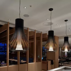 Подвесной светильник CHASEN 1