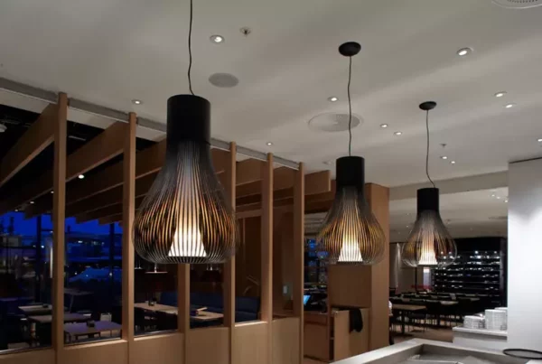 Подвесной светильник CHASEN 1