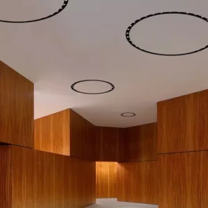 Потолочный светильник CIRCLE OF LIGHT 51 2