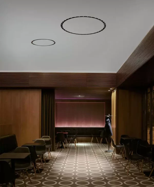 Потолочный светильник CIRCLE OF LIGHT 51 10