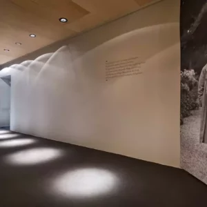 Потолочный светильник COMPASS FIXED 56 1