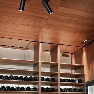 Потолочный светильник SPOTLIGHTS FIND ME 1