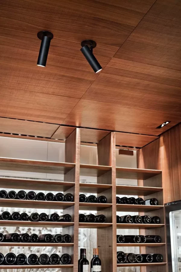 Потолочный светильник SPOTLIGHTS FIND ME 1