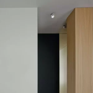 Потолочный светильник FORT KNOX 1