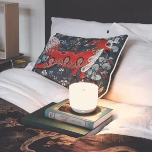 Настольная лампа GAKU WIRE 19