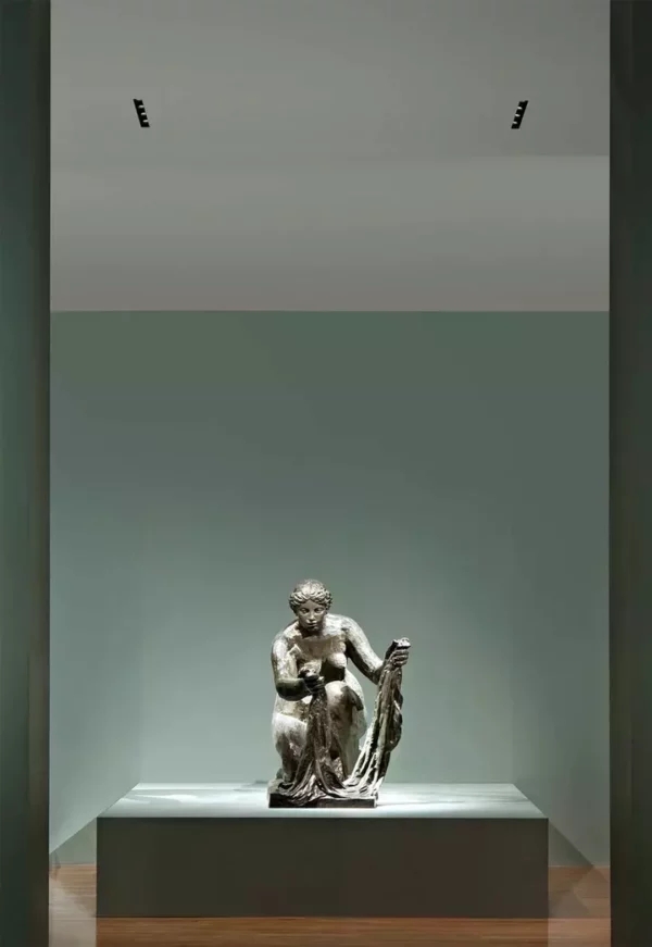 Потолочный светильник LIGHT SHADOW FIXED TRIM 2 SPOTS 3