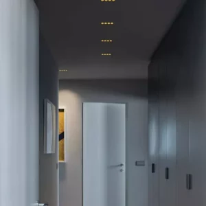 Потолочный светильник LIGHT SHADOW FIXED NO TRIM 2 SPOTS 8