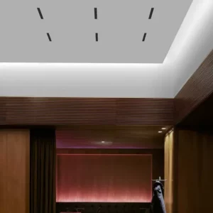 Потолочный светильник LIGHT SHADOW FIXED TRIM 2 SPOTS 11