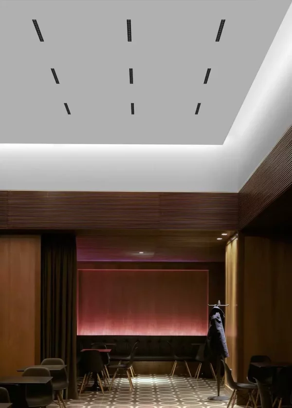 Потолочный светильник LIGHT SHADOW FIXED TRIM 2 SPOTS 11