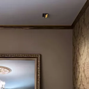 Потолочный светильник LIGHT SHADOW FIXED NO TRIM 2 SPOTS 14