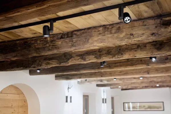 Потолочный светильник PURE SPOT PRO TRACK 110 10