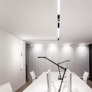 Потолочный светильник RUNNING MAGNET 25