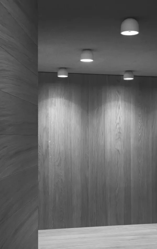 Потолочный светильник WAN 1