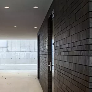 Потолочный светильник WAN DOWNLIGHT 148 5