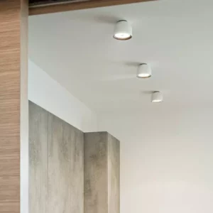 Потолочный светильник WAN SPOT 149 2