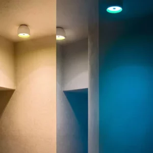 Потолочный светильник WAN SPOT 149 5