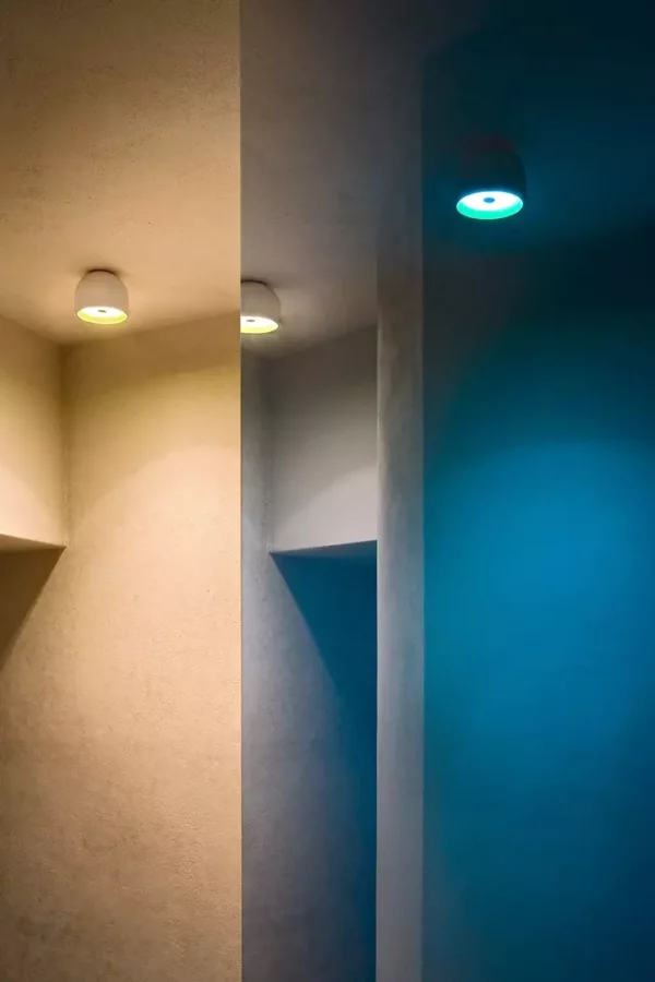 Потолочный светильник WAN SPOT 149 5