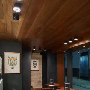 Потолочный светильник WAN SPOT 149 7