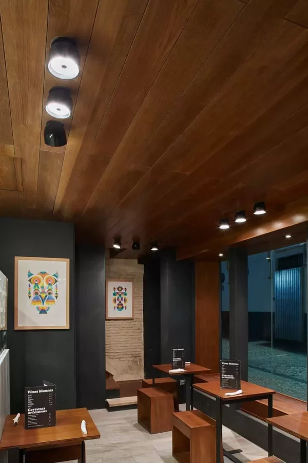 Потолочный светильник WAN SPOT 149 7