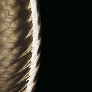 Итальянский напольный торшер Perseus 4