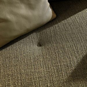 Итальянский диван Brasilia 4