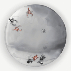 Дизайнерское зеркало Сoncave metamorphosis от BOCA DO LOBO (Португалия)