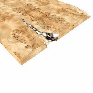 Дизайнерский стол Empire poplar 2