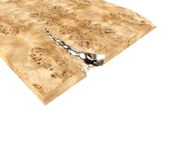 Дизайнерский стол Empire poplar 2