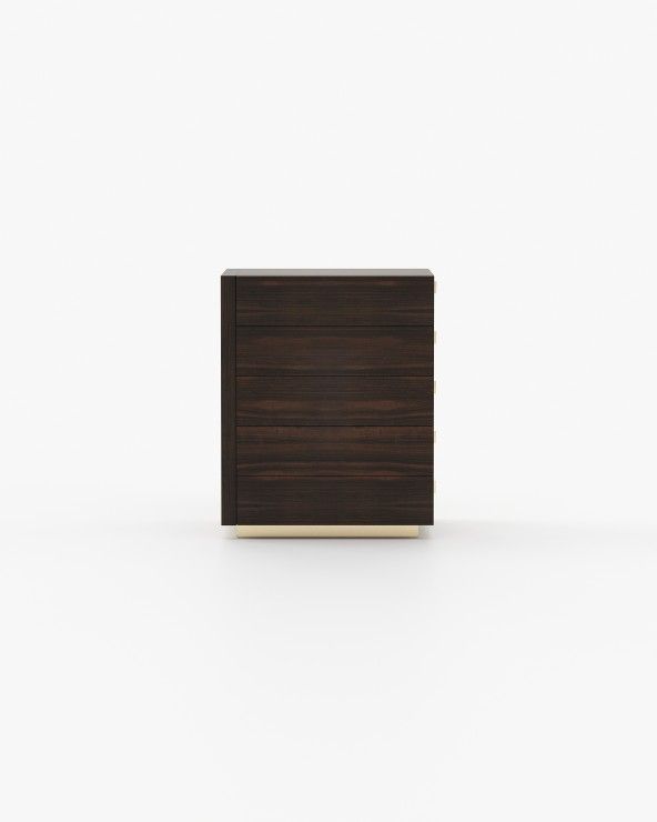 Дизайнерский шкаф-купе Kira 2