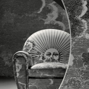 Итальянское кресло Vanity Fair XC Imagine Edition 6