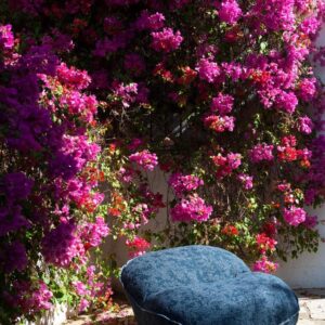 Итальянское кресло MONTREAL от Baxter