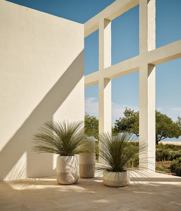 Итальянская ваза CREW от Poliform