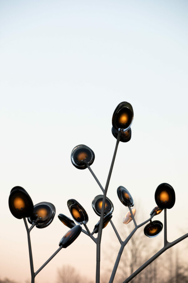 Дизайнерская коллекция 16 3