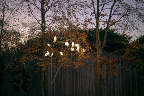 Дизайнерская коллекция 16 2