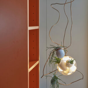 Дизайнерская коллекция 38 3