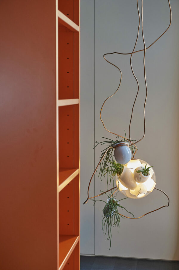 Дизайнерская коллекция 38 3