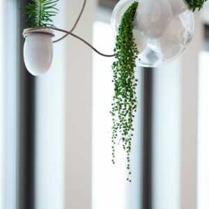 Дизайнерская коллекция 38 2