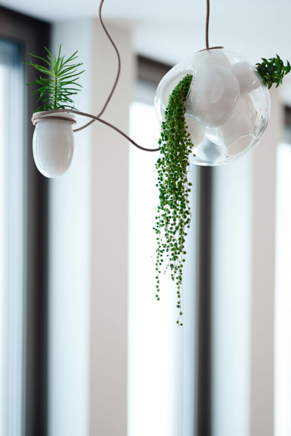 Дизайнерская коллекция 38 2