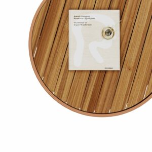 Итальянский столик Switch Coffee Table 4