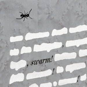 Итальянский комод Formiche Nere от LAURAMERONI