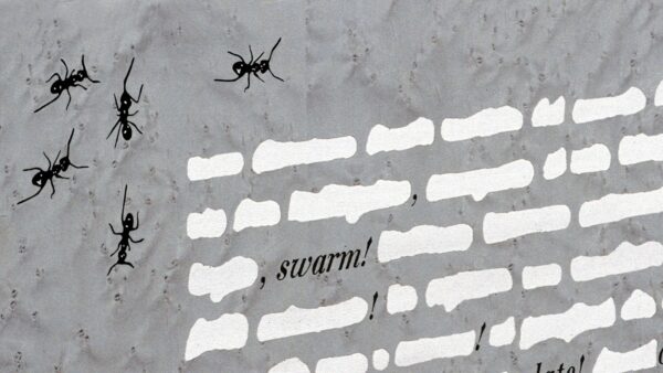 Итальянский комод Formiche Nere от LAURAMERONI