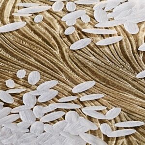 Итальянский столик Bombago 2